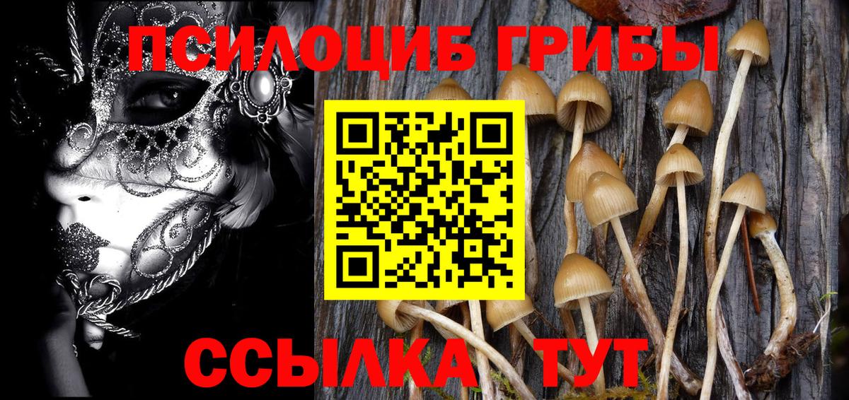 Галлюциногенные грибы ЛСД  Вход с VPN  Лениногорск  Псилоцибиновые грибы MAGIC MUSHROOMS 